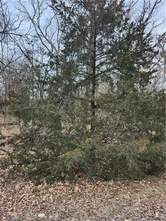 $8,250 | 13 Silver Lane, Linn Valley, KS 66040