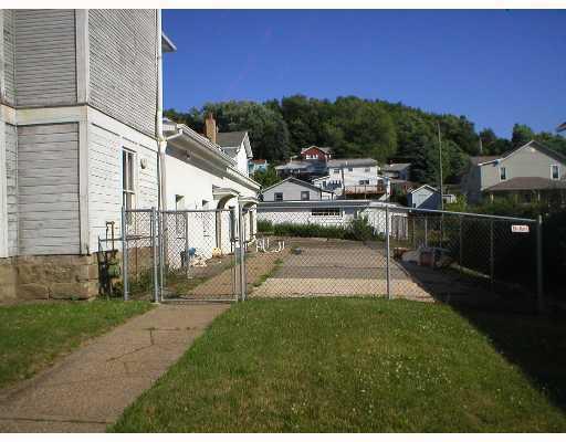 423 North 2nd Street Apollo, PA 15613 - Photo 8 of 8 Land/Lot. Side yard of property, can be accessed from kitchen or from double door in back hallway.