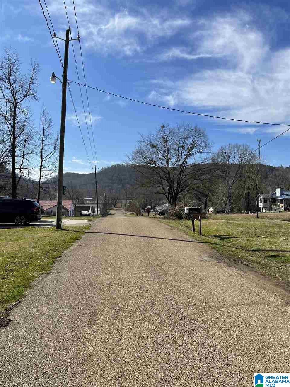 224 Jackson Street Oakman, AL 35579 - Photo 5 of 15