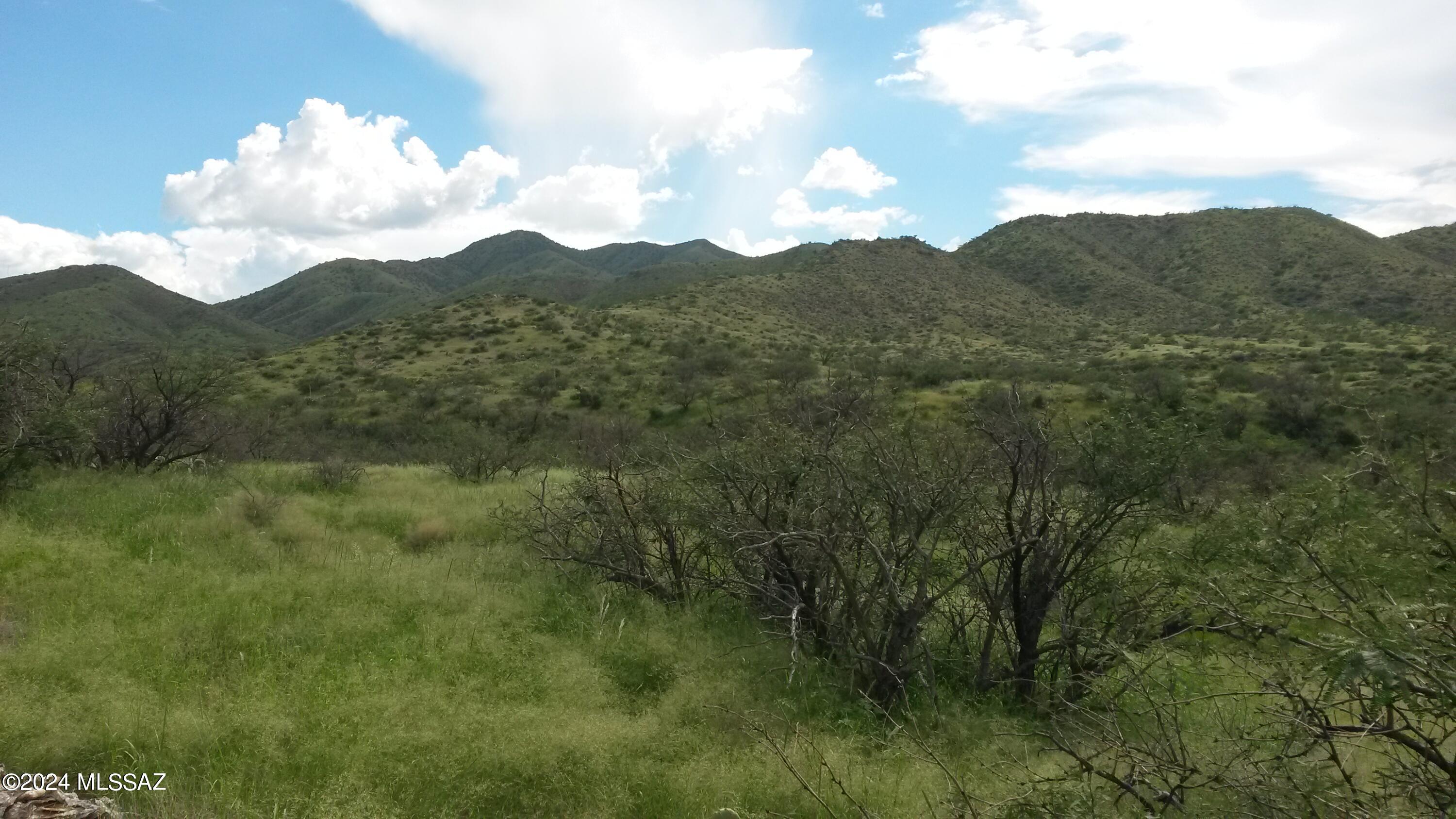 South Goodenough Trail Vail, AZ 85641 - Photo 8 of 13