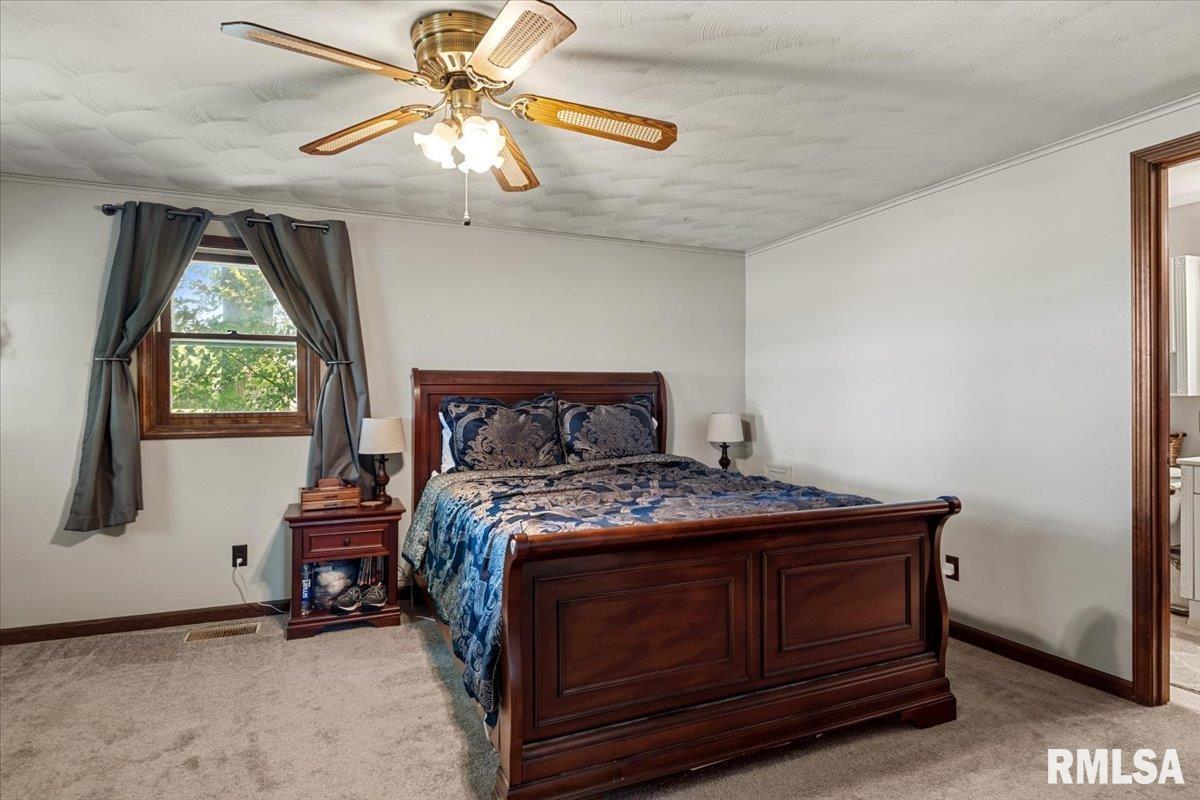 2201 Strawn Crossing Road Jacksonville, IL 62650 - Photo 30 of 64