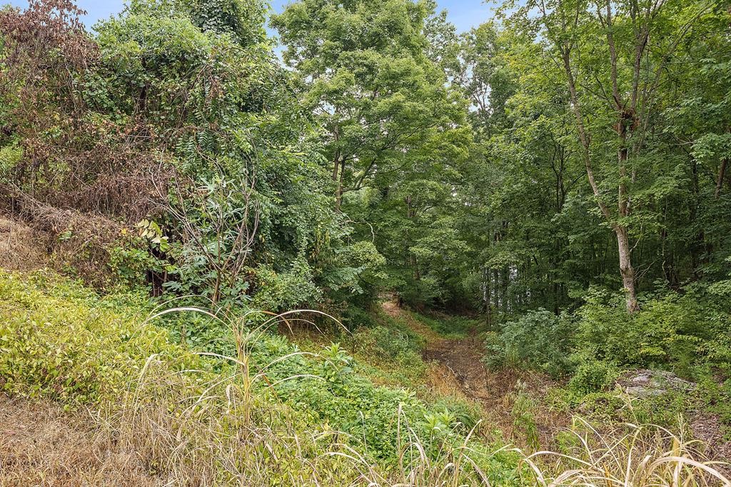 1737 Parrotts Chapel Road Sevierville, TN 37876 - Photo 27 of 30 Gallery Image 27