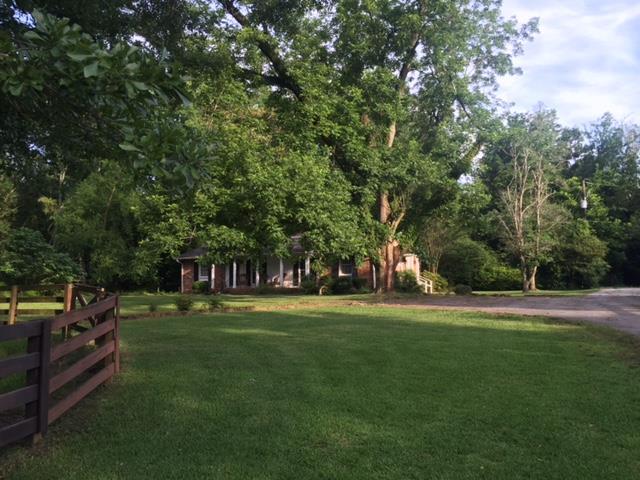 a view of a park with large trees