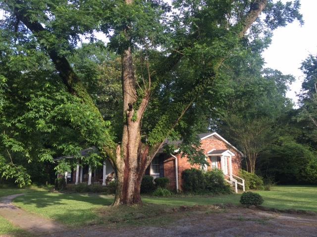 7798 Zebulon Road, Unit 1A Macon, GA 31220 - Photo 2 of 14 a view of a town with large trees