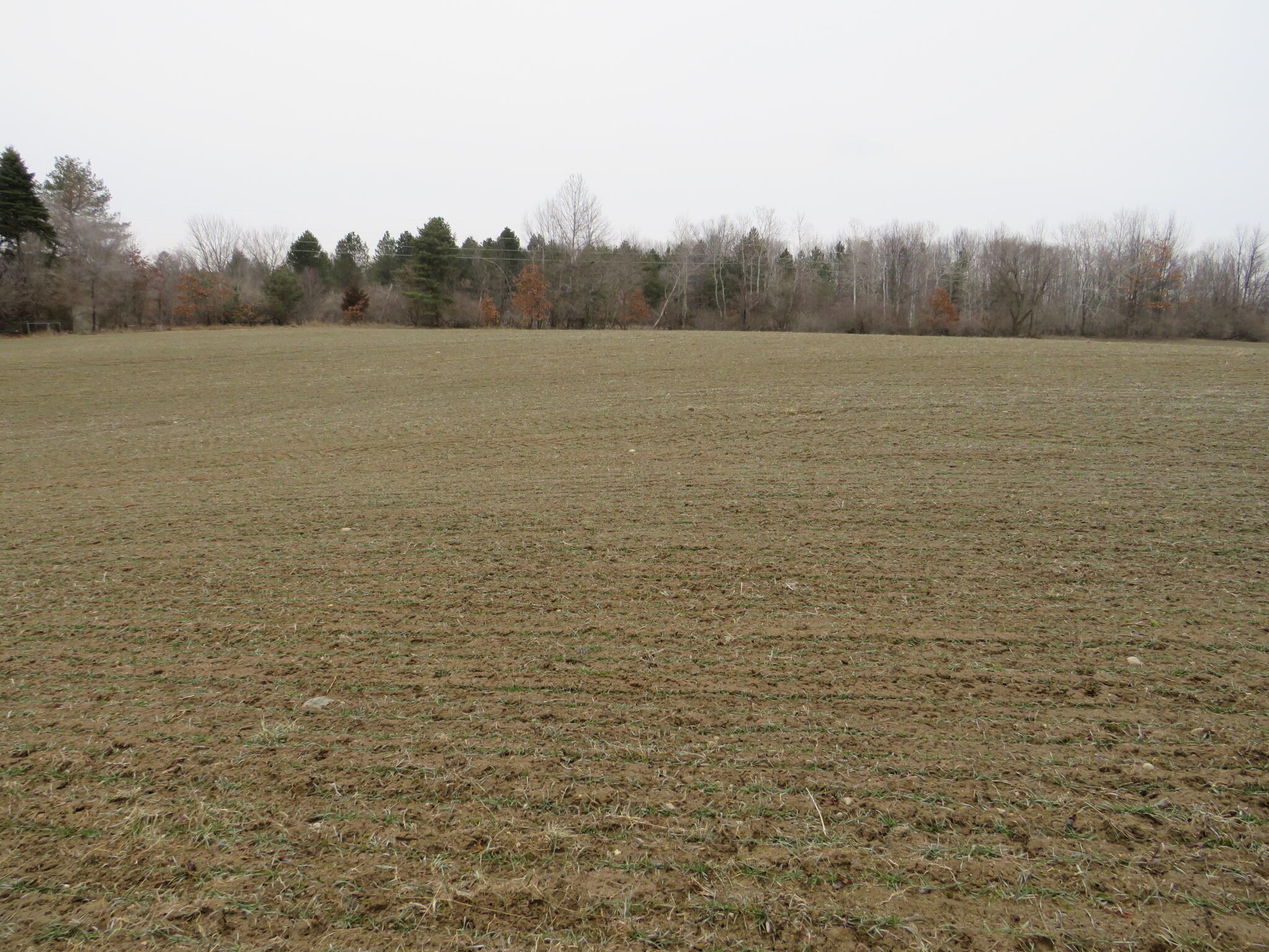 Beardslee Road Perry, MI 48872 - Photo 12 of 27 IMG_3500