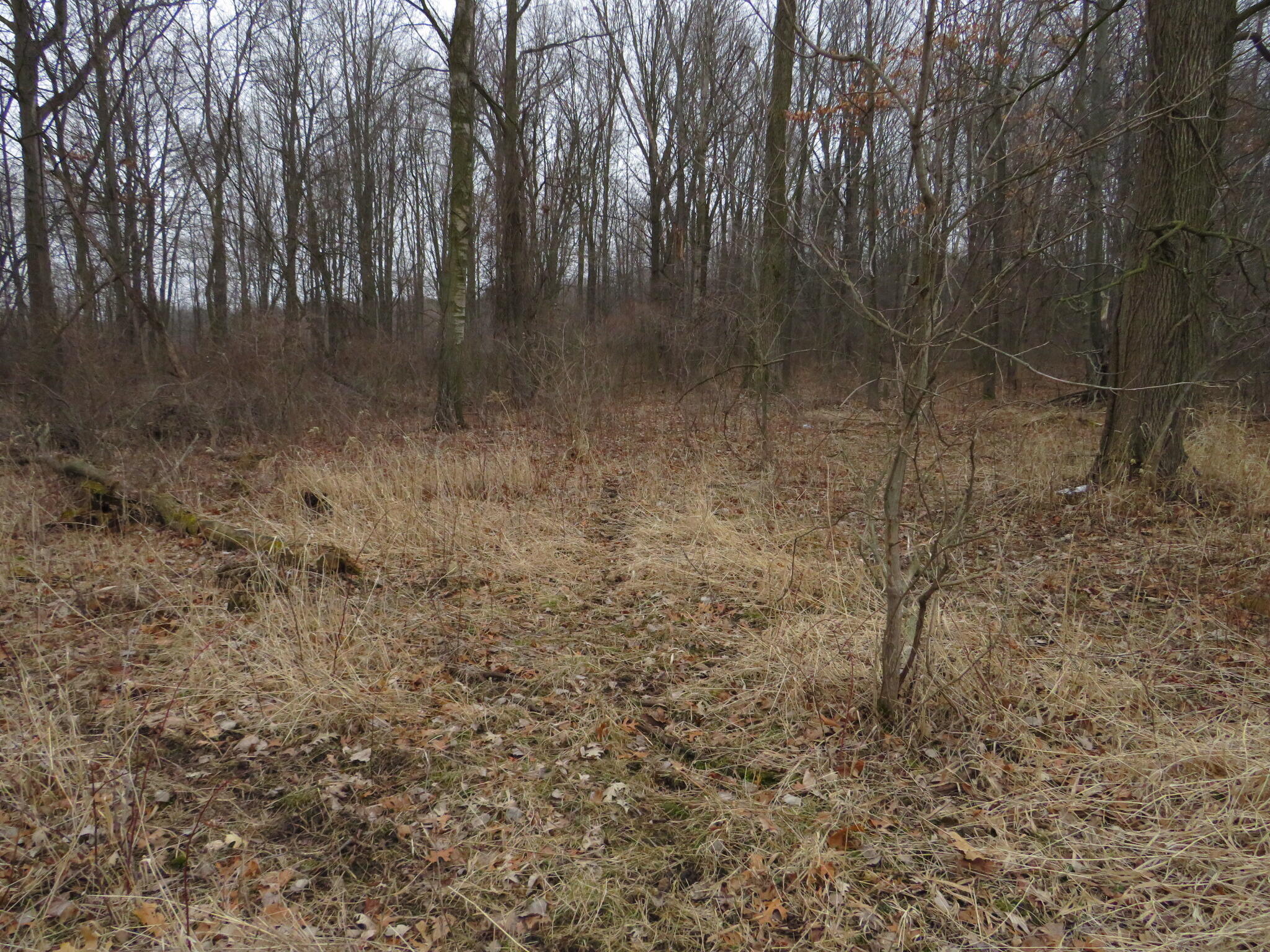 Beardslee Road Perry, MI 48872 - Photo 15 of 27 IMG_3531