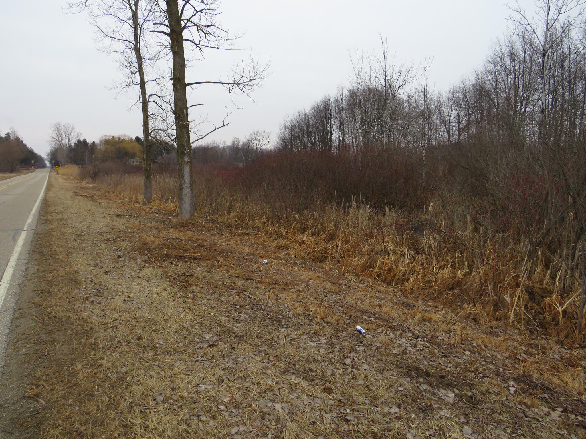 Beardslee Road Perry, MI 48872 - Photo 3 of 27 IMG_3461