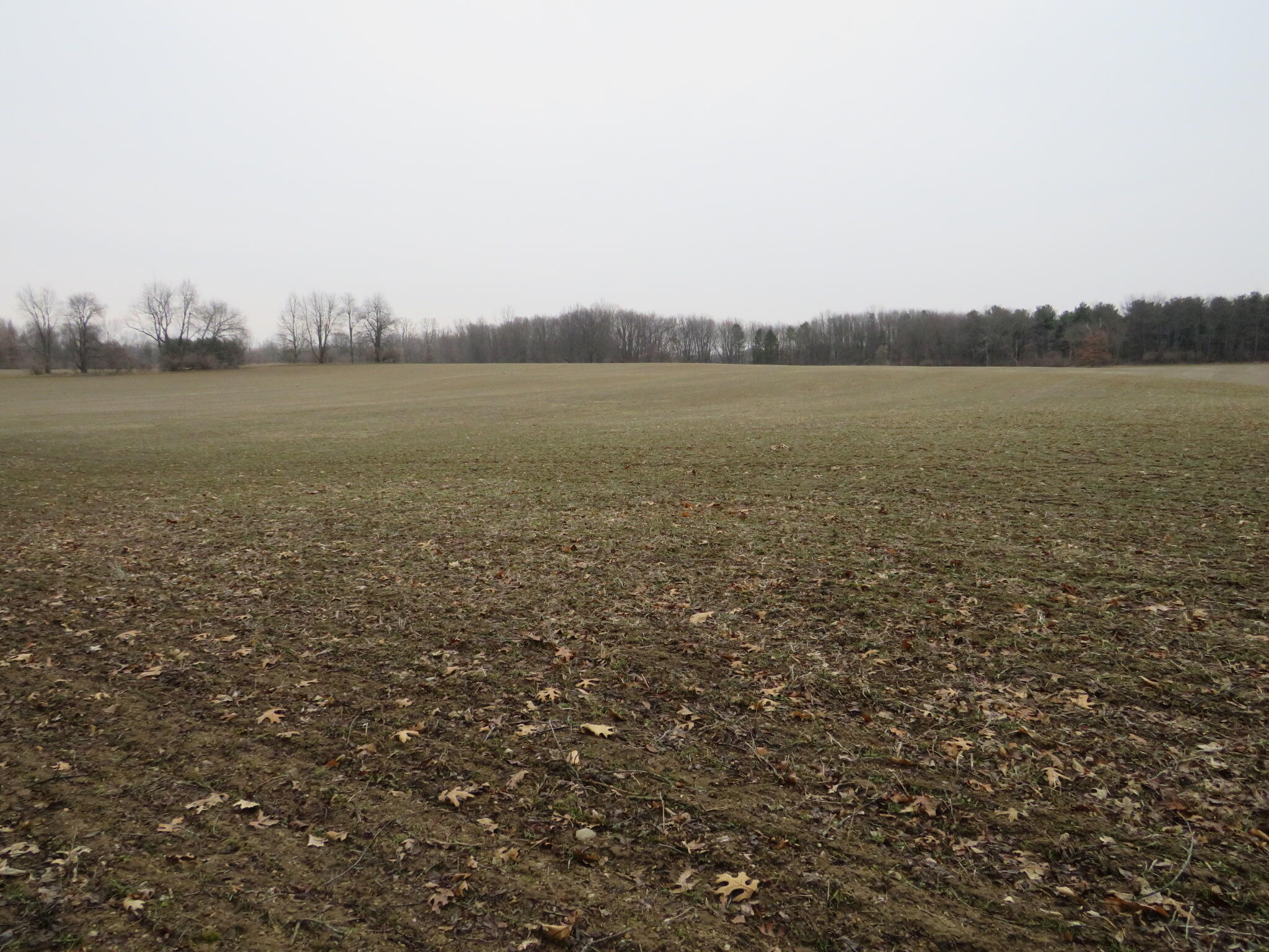 Beardslee Road Perry, MI 48872 - Photo 8 of 27 IMG_3483