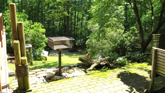 $448,000 | 4828 Highway 11, Pickens, SC 29671