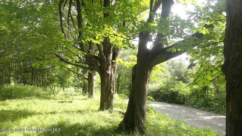 Tbd Henry Road Pine Bush, NY 12566 - Photo 2 of 12 a backyard of a house with yard and outdoor seating