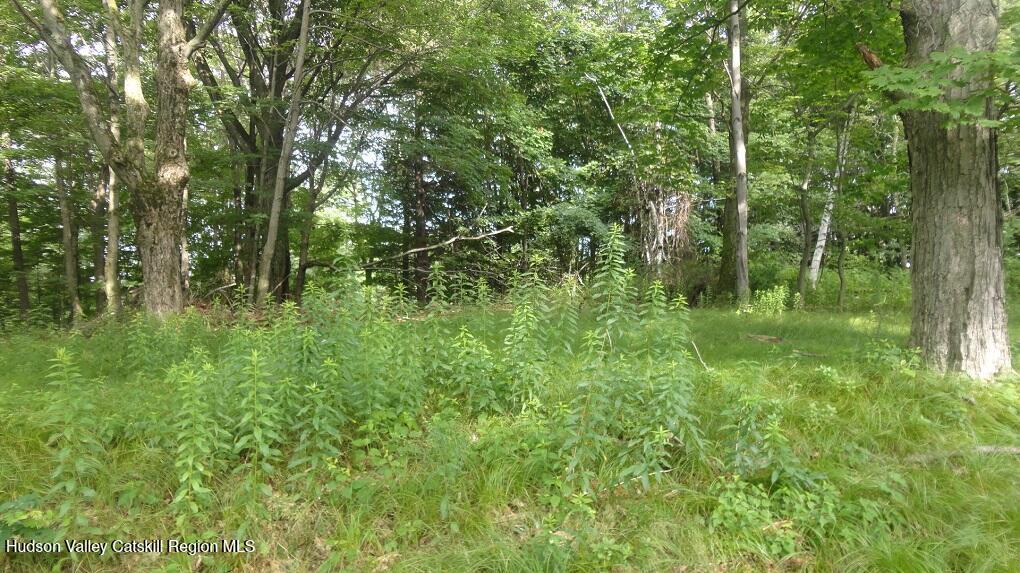 Tbd Henry Road Pine Bush, NY 12566 - Photo 3 of 12 a view of a lush green forest