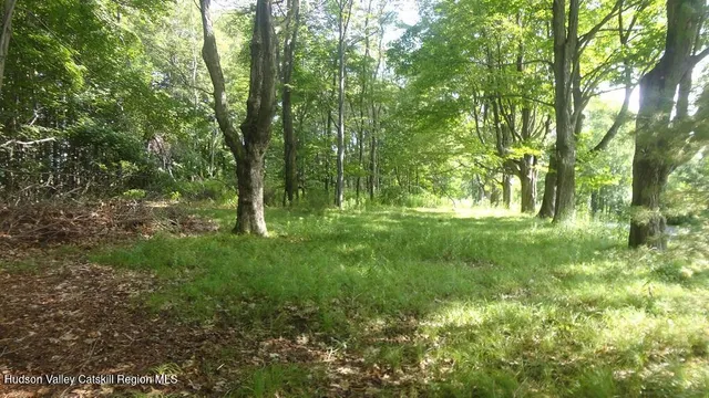 a view of outdoor space and yard