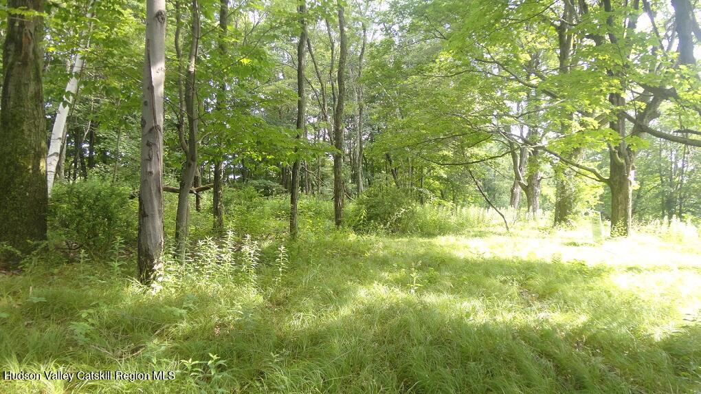Tbd Henry Road Pine Bush, NY 12566 - Photo 5 of 12 a view of yard with green space