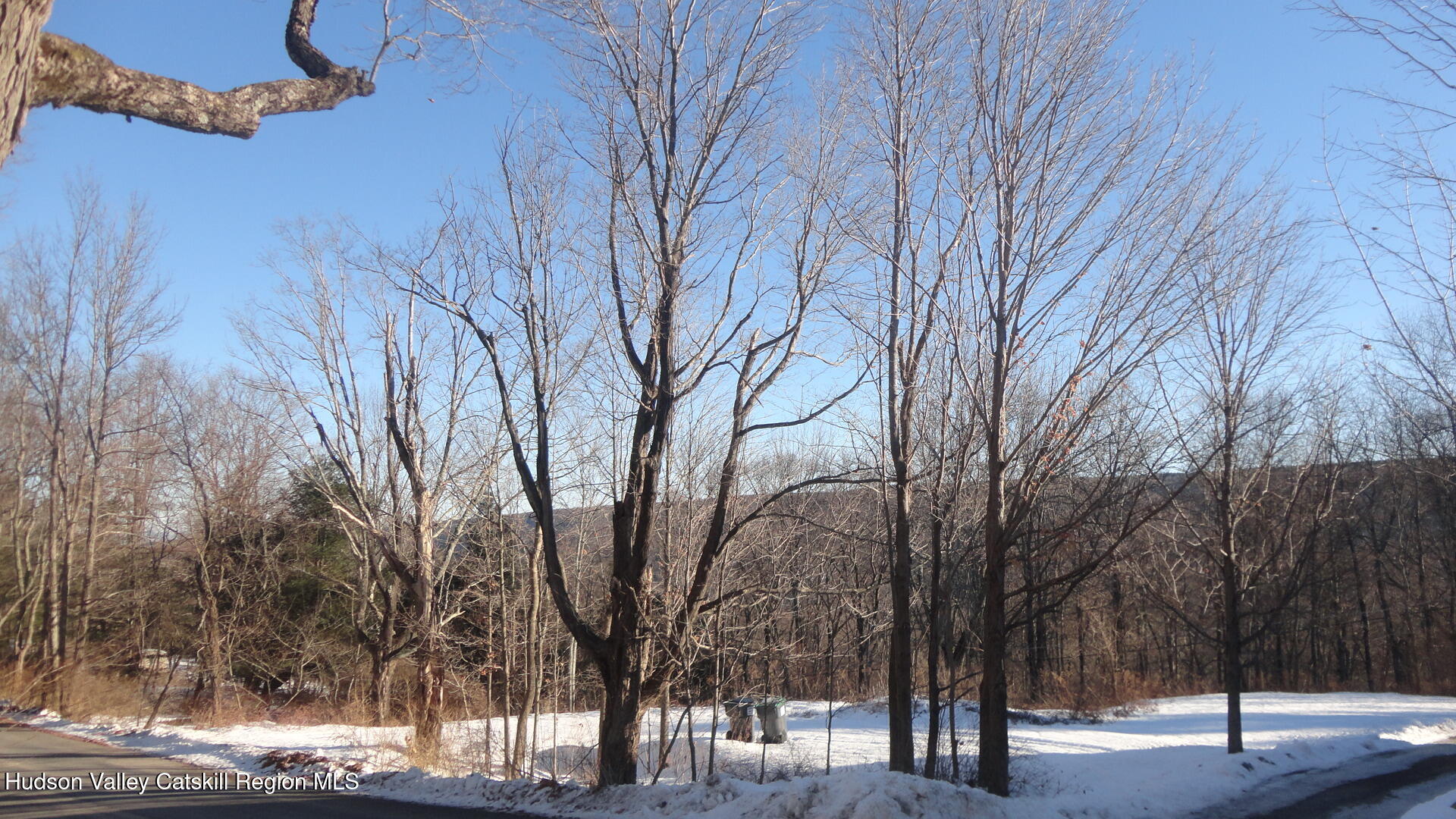 Tbd Henry Road Pine Bush, NY 12566 - Photo 7 of 12 a view of outdoor space with lots of trees