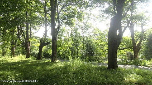 a view of outdoor space and yard