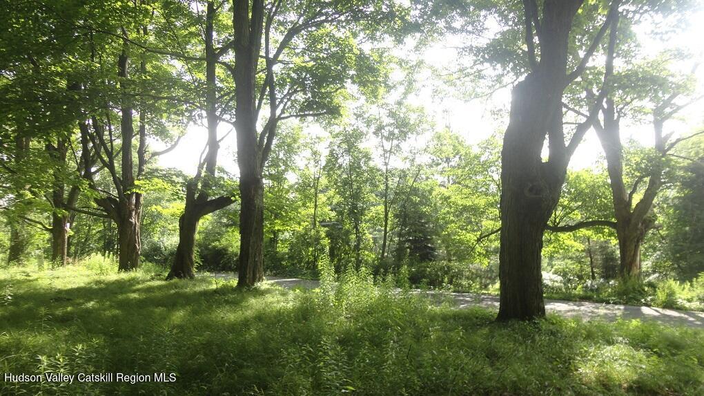 Tbd Henry Road Pine Bush, NY 12566 - Photo 9 of 12 a view of outdoor space and yard
