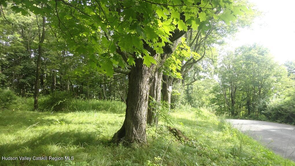 Tbd Henry Road Pine Bush, NY 12566 - Photo 10 of 12 a backyard of a house with lots of green space