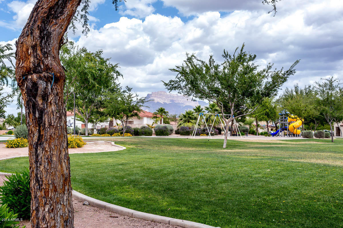 2676 South De Soto Road Apache Junction, AZ 85119 - Photo 15 of 19 a view of a park and trees