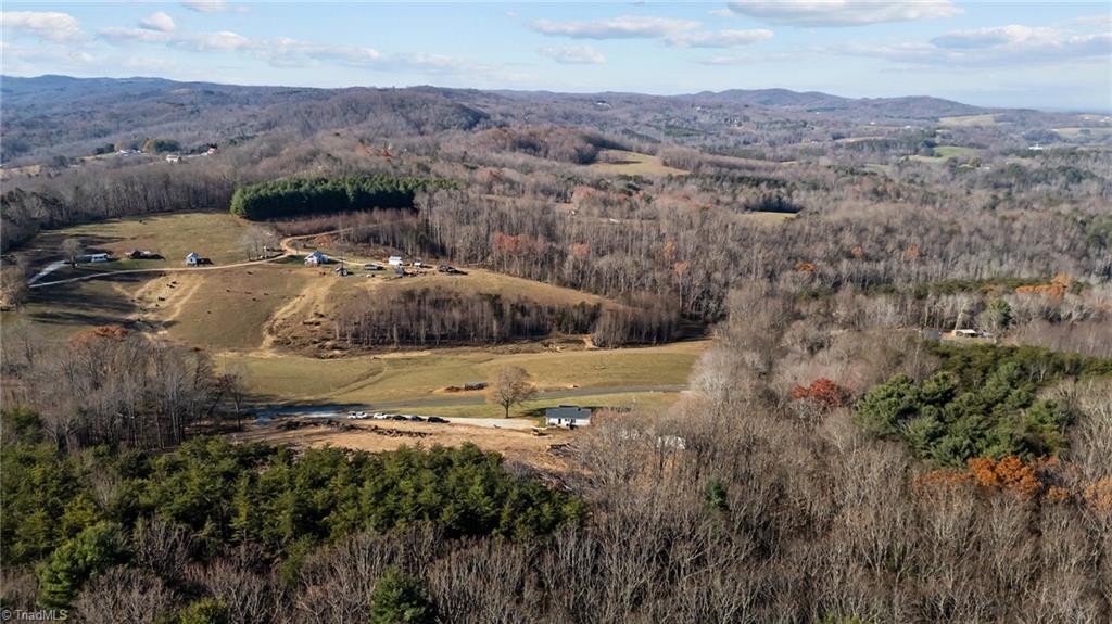 1212 Hooker Road Mount Airy, NC 27030 - Photo 6 of 45