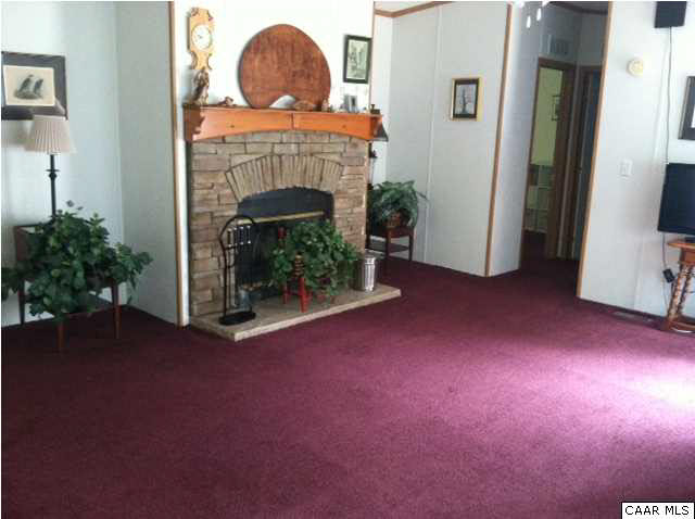 991 Doctors Road Louisa, VA 23093 - Photo 3 of 20 a view of empty room with fireplace and fan
