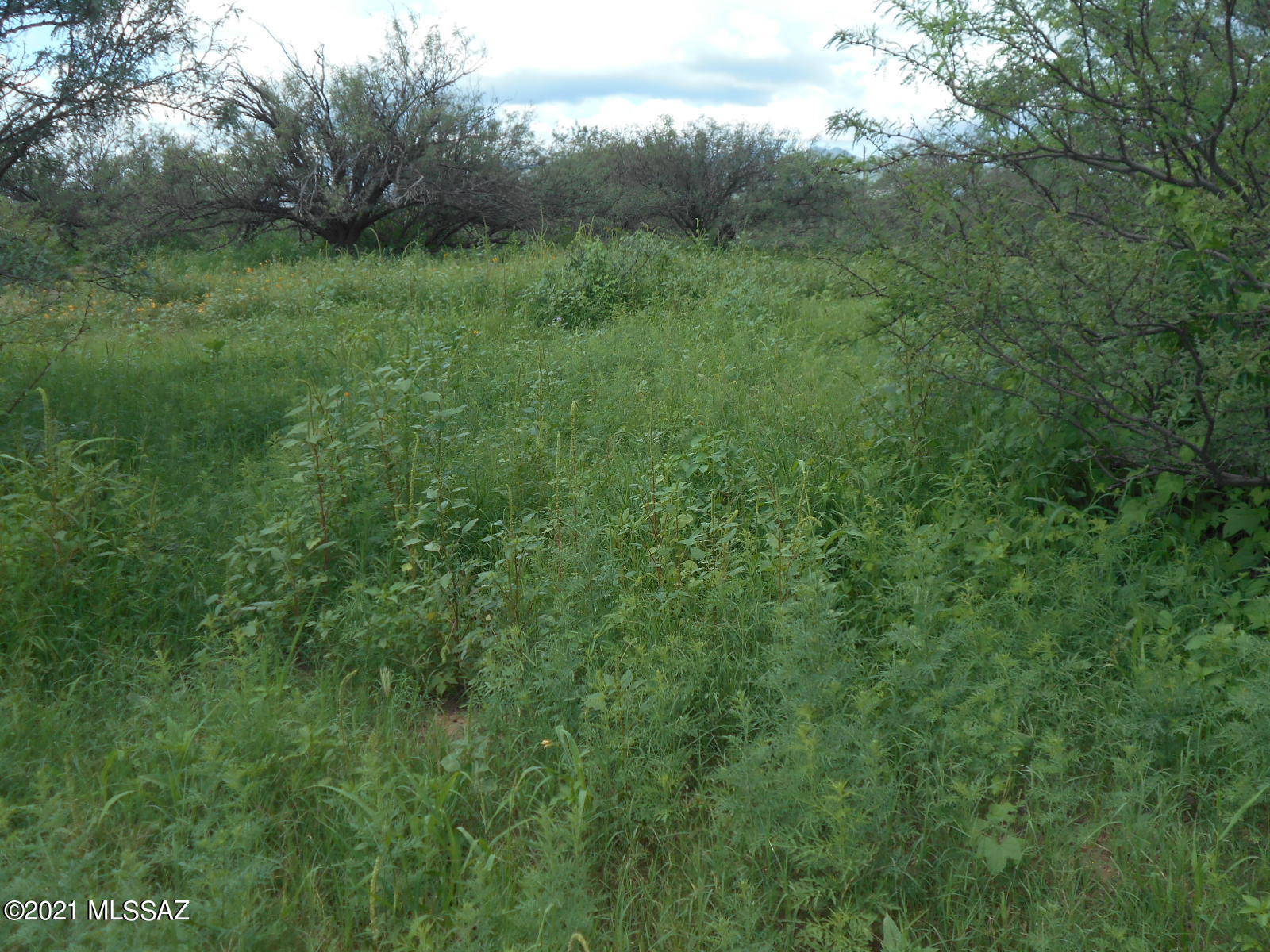 7298 North Frontier Road McNeal, AZ 85617 - Photo 17 of 40 Gallery Image 17