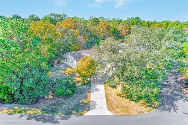 a view of a pathway both side of the house