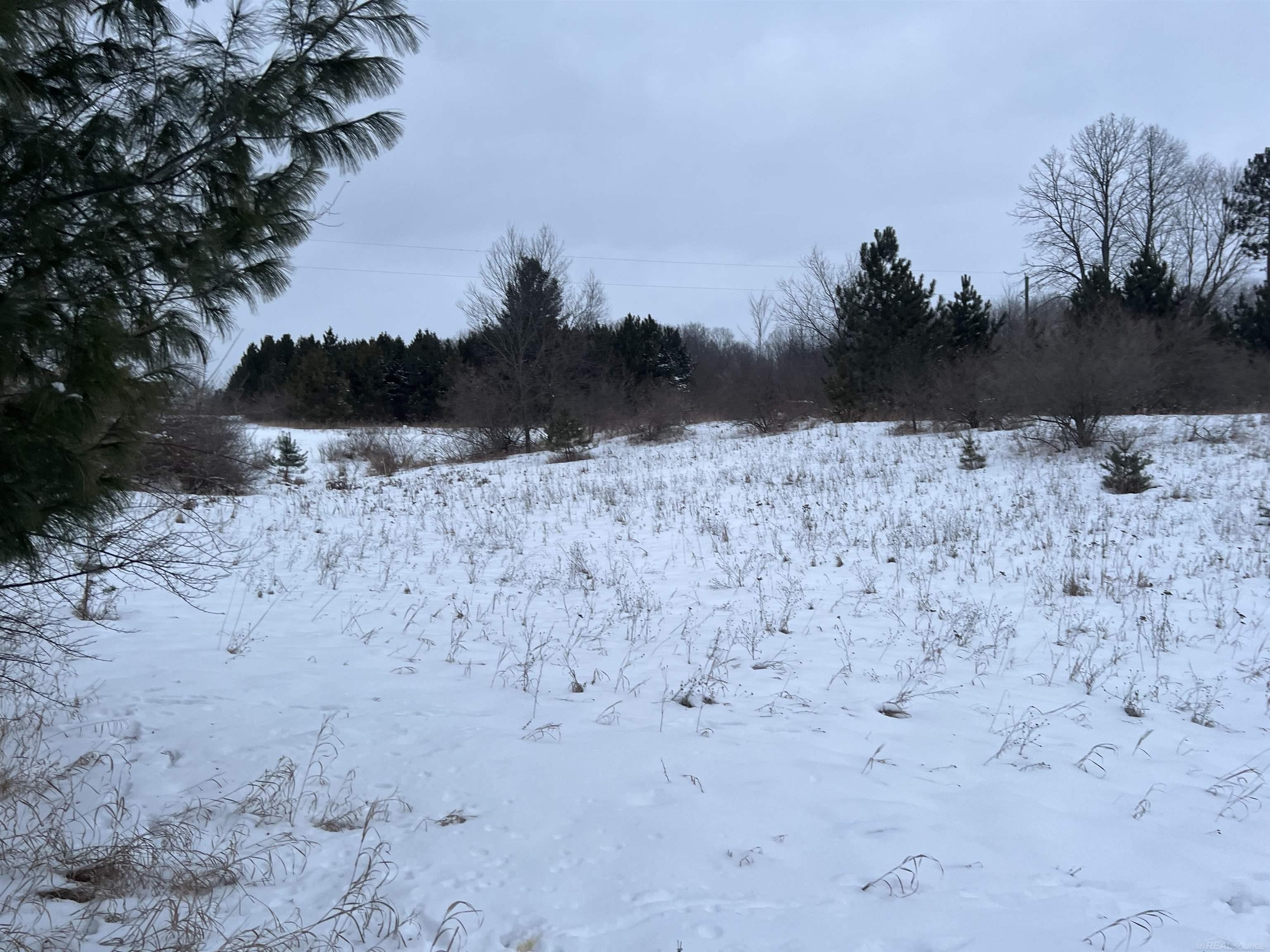 Goodrich Road Herron, MI 49744 - Photo 2 of 19 Gallery Image 2