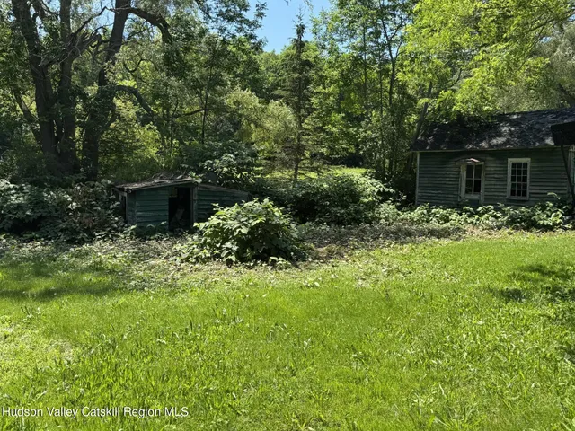 a view of a garden with plants