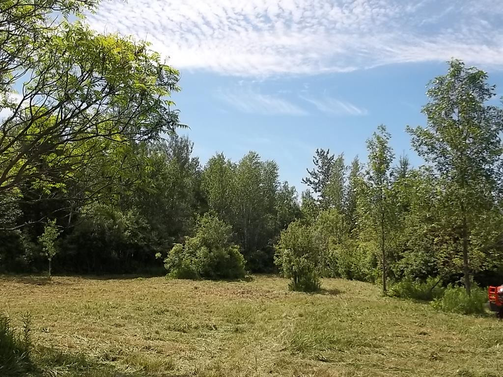 0 Buell Road Fort Covington, NY 12937 - Photo 1 of 1 Gallery Image 1