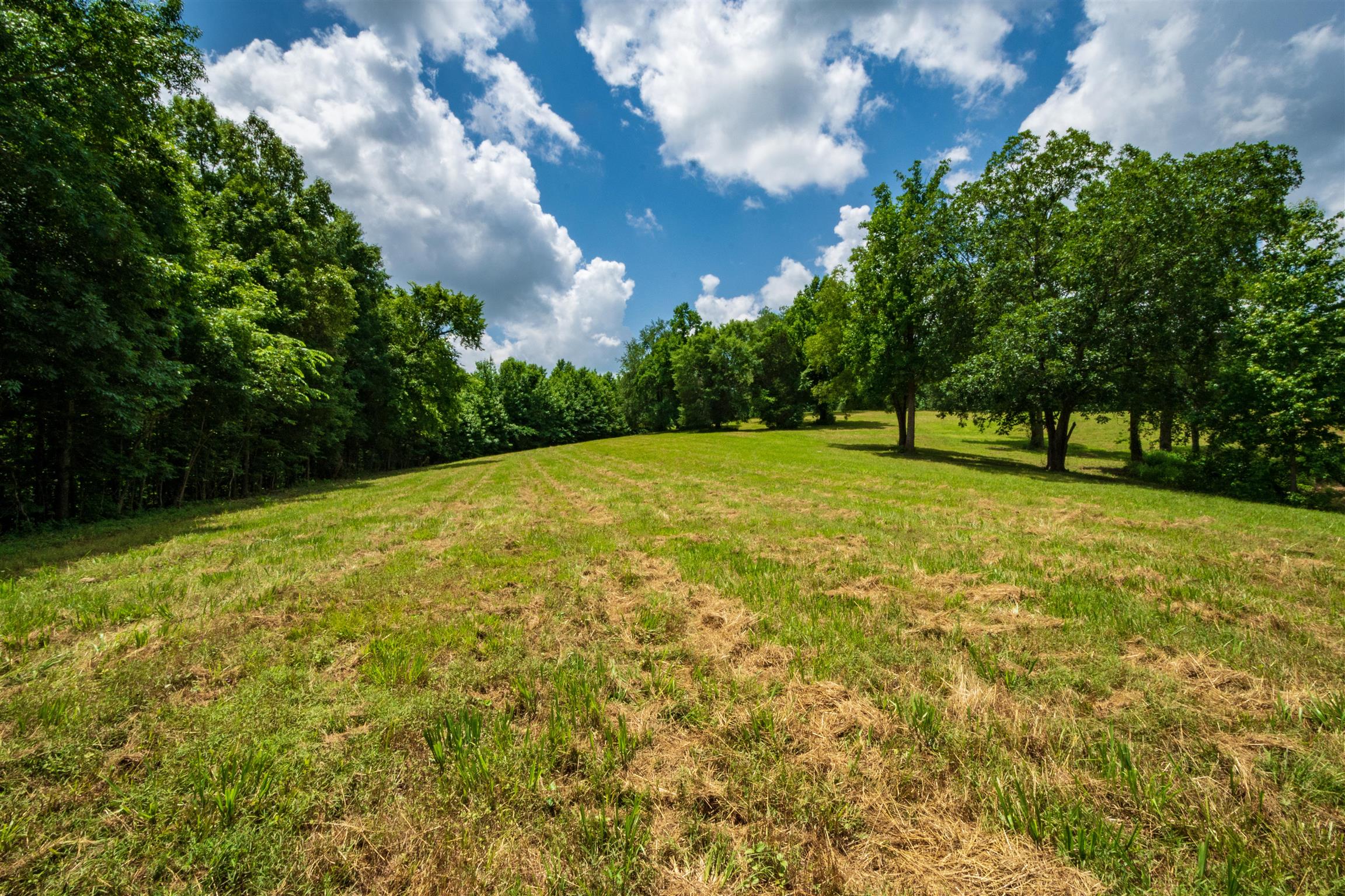 a view of field with trees in the background