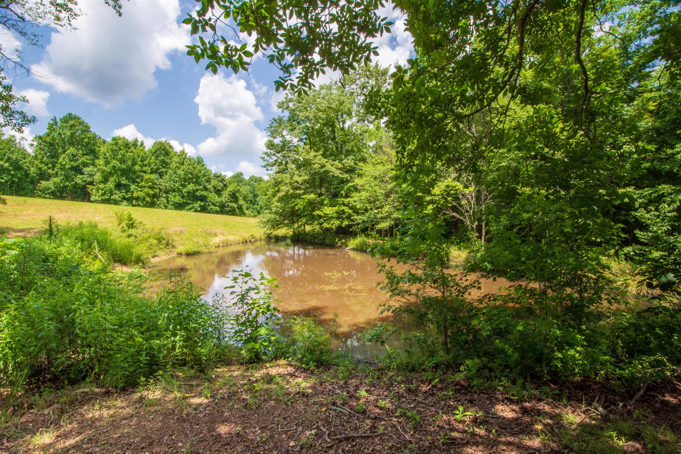 198 Ben Johnson Road Pulaski, TN 38478 - Photo 11 of 30 a view of a lake with a yard