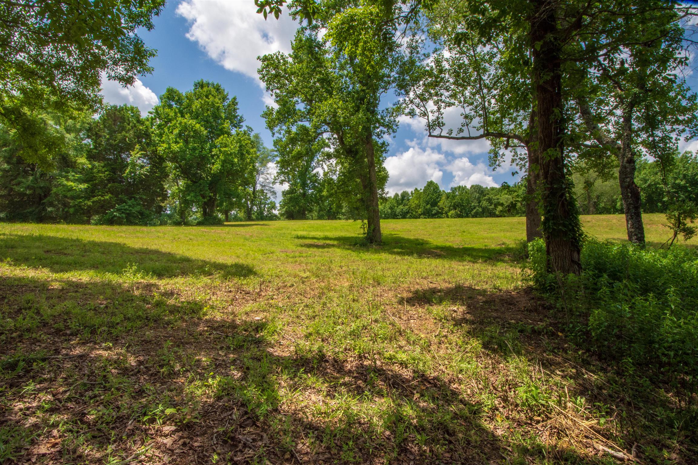 198 Ben Johnson Road Pulaski, TN 38478 - Photo 12 of 30 a view of a yard with a house and large trees