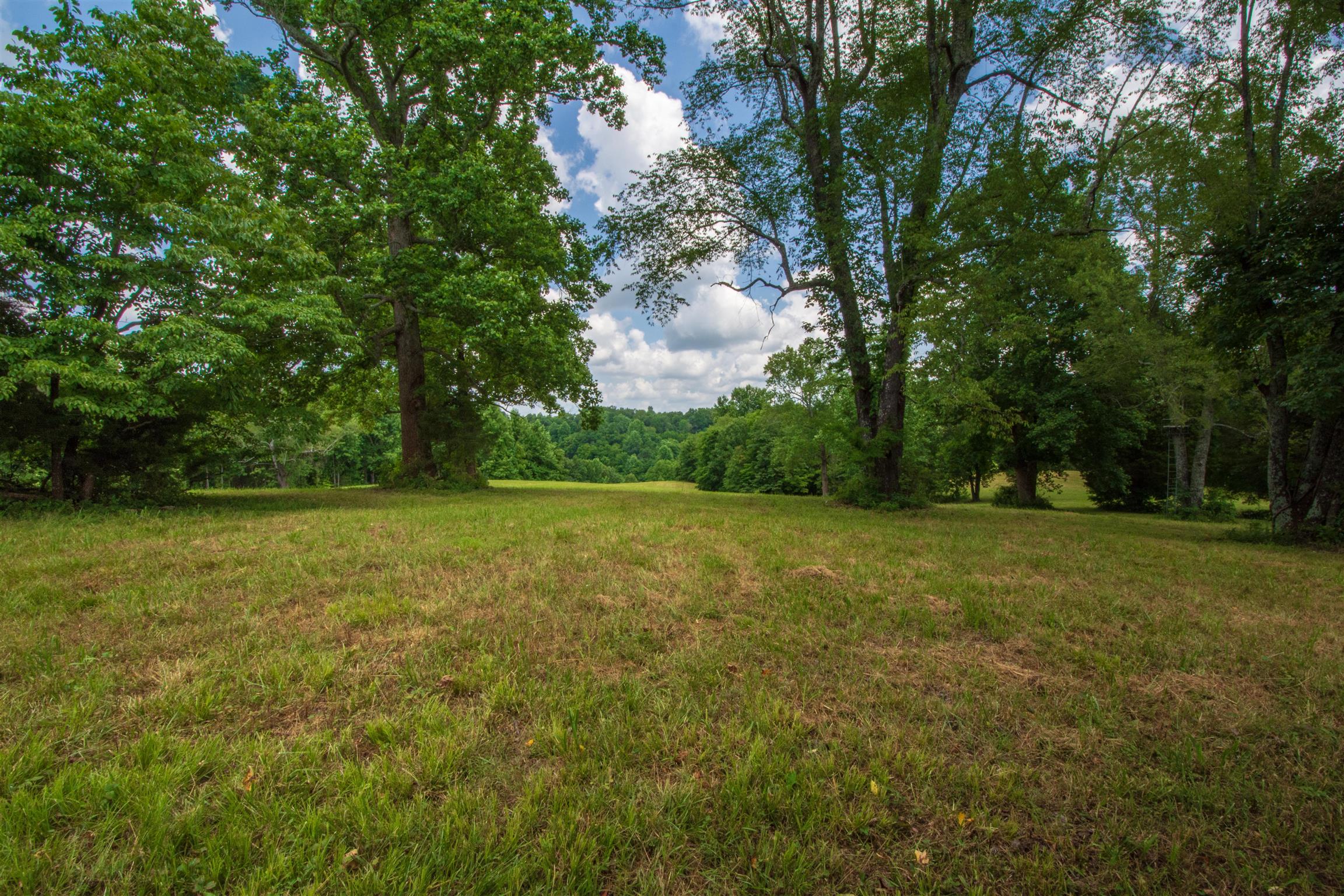 198 Ben Johnson Road Pulaski, TN 38478 - Photo 13 of 30 a view of outdoor space with deck and yard