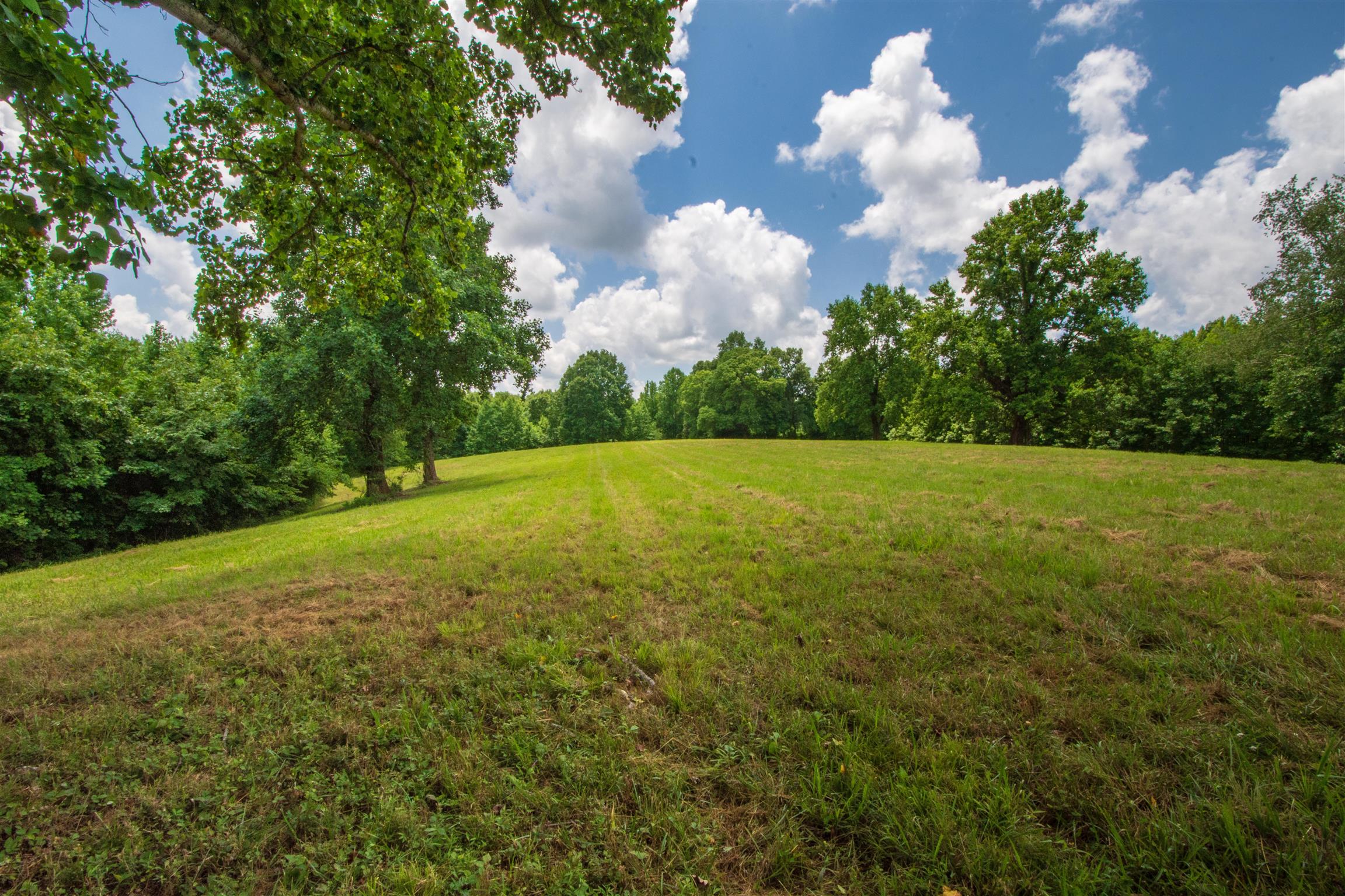 198 Ben Johnson Road Pulaski, TN 38478 - Photo 14 of 30 a view of a field with an trees in the background