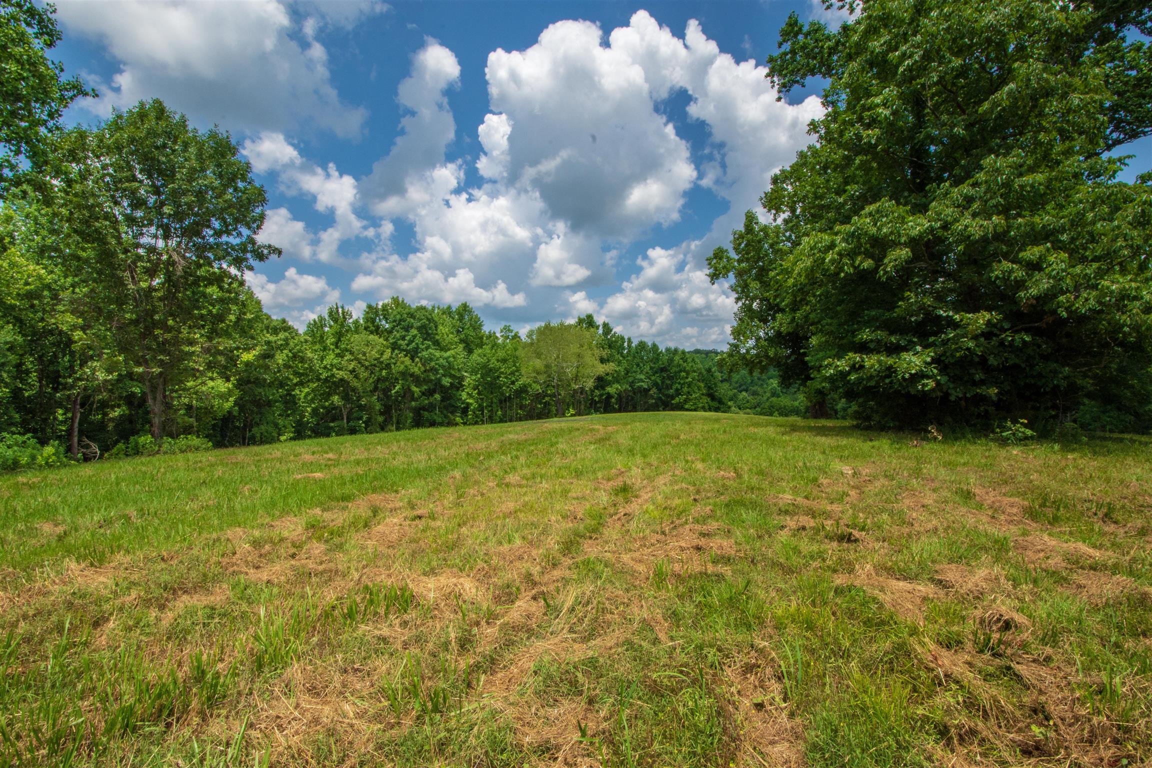 198 Ben Johnson Road Pulaski, TN 38478 - Photo 15 of 30 a view of a big yard