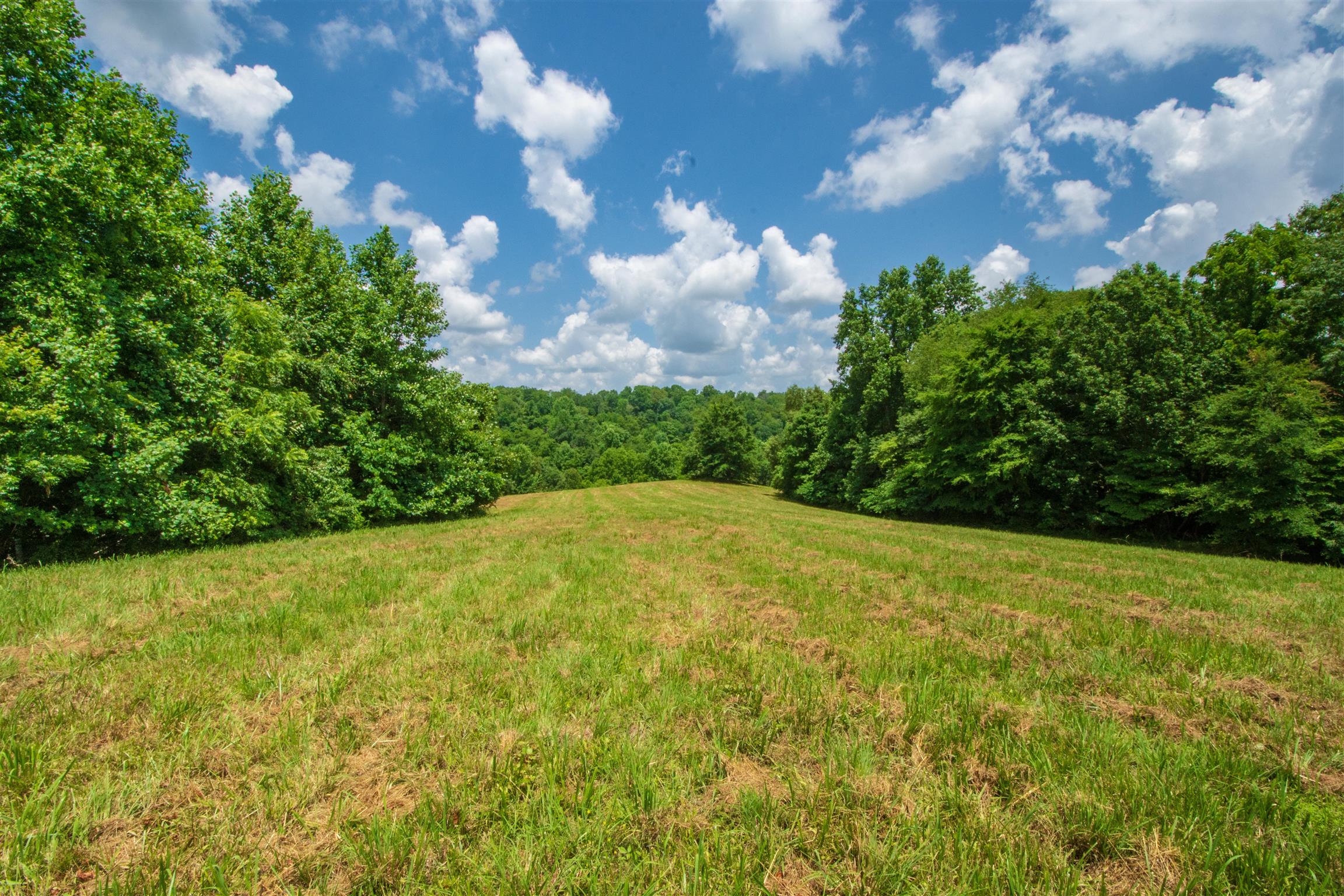 198 Ben Johnson Road Pulaski, TN 38478 - Photo 17 of 30 a view of a big yard with lots of green space