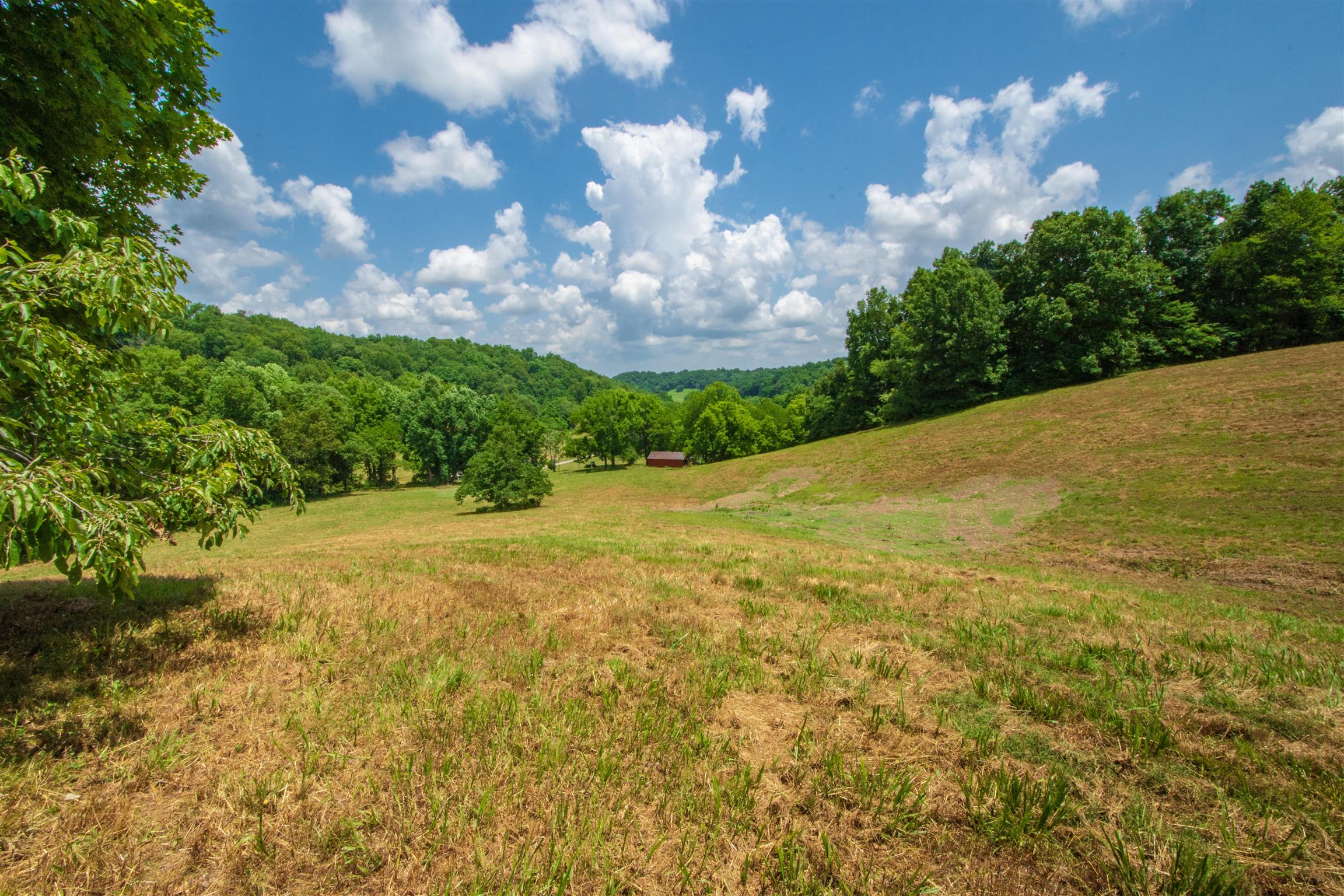198 Ben Johnson Road Pulaski, TN 38478 - Photo 18 of 30 a view of a field with an trees