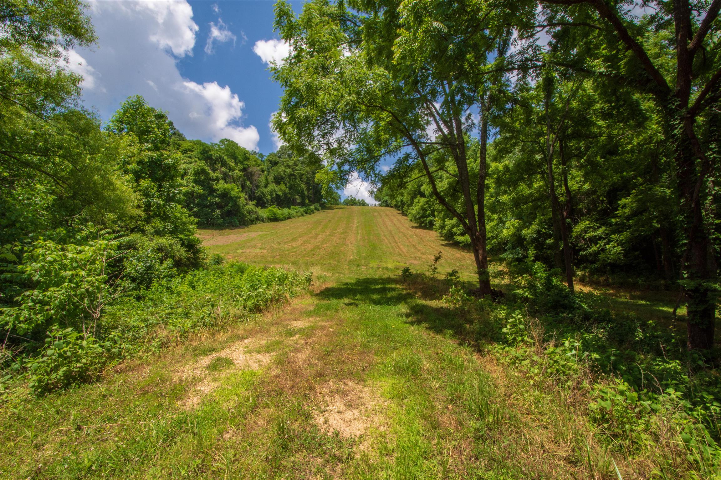 198 Ben Johnson Road Pulaski, TN 38478 - Photo 19 of 30