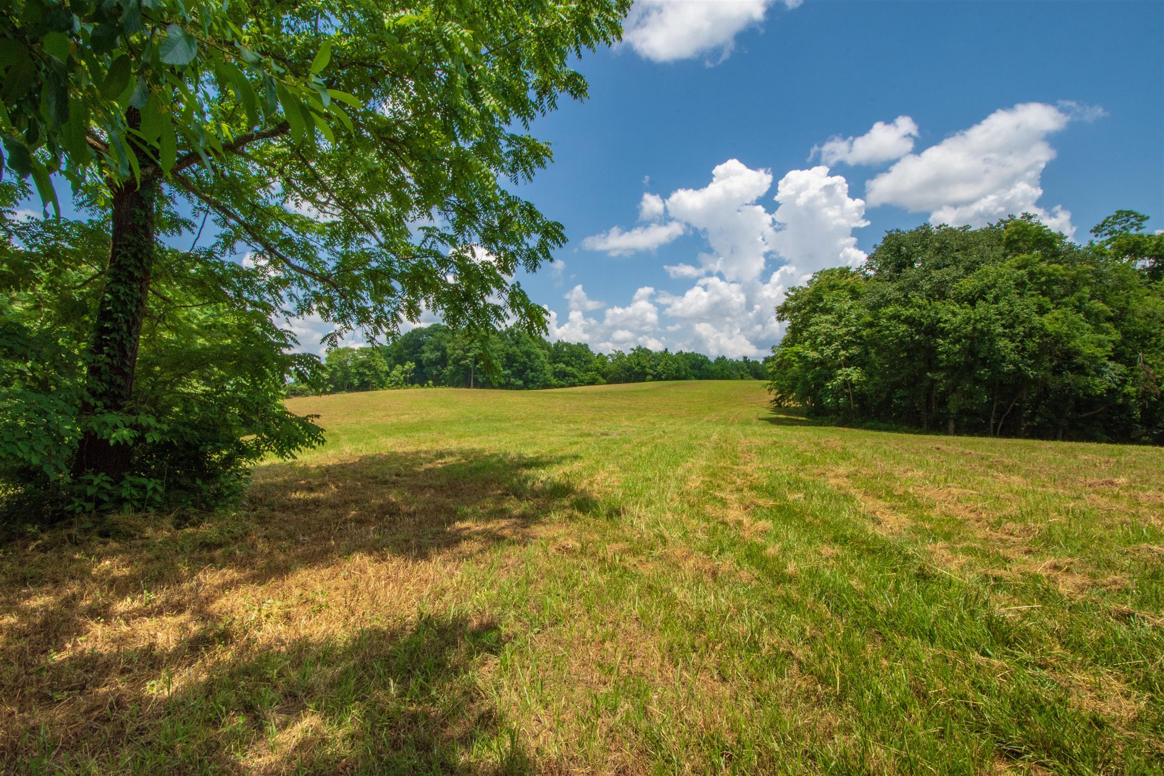 198 Ben Johnson Road Pulaski, TN 38478 - Photo 20 of 30 a view of a lake with a yard