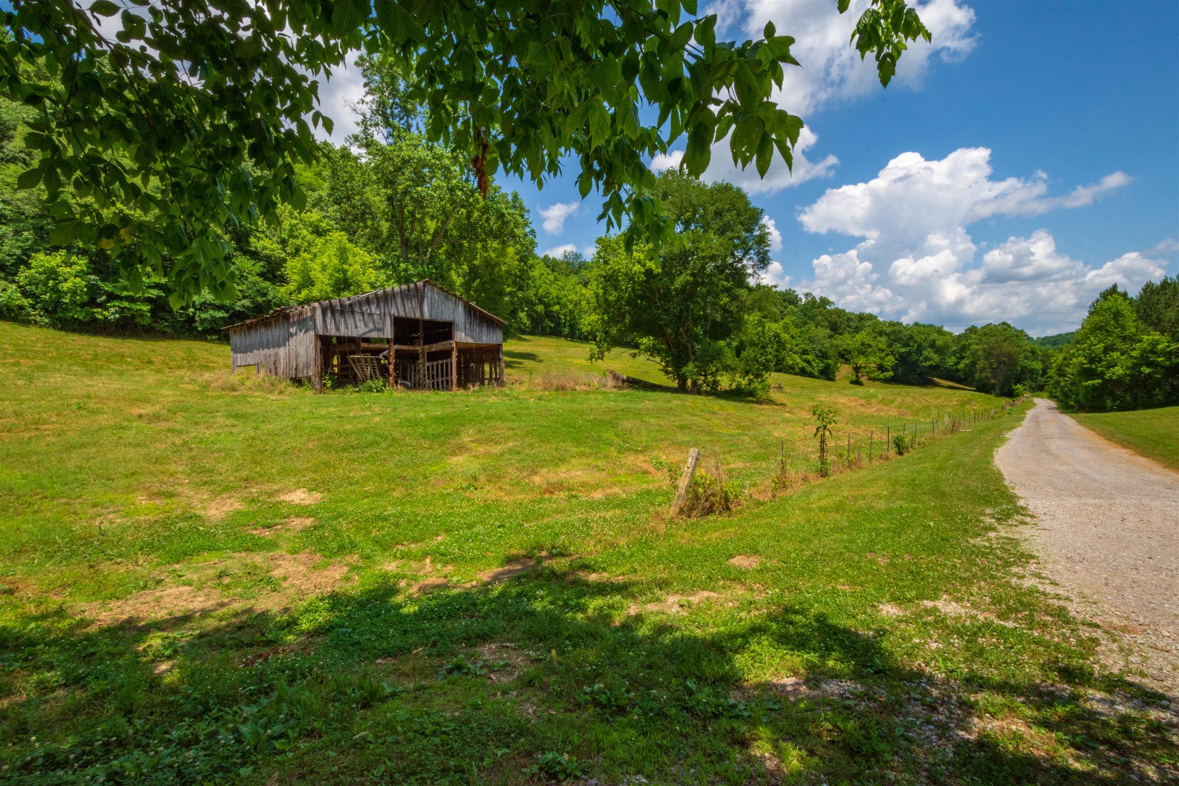 198 Ben Johnson Road Pulaski, TN 38478 - Photo 22 of 30 a view of a house with a yard