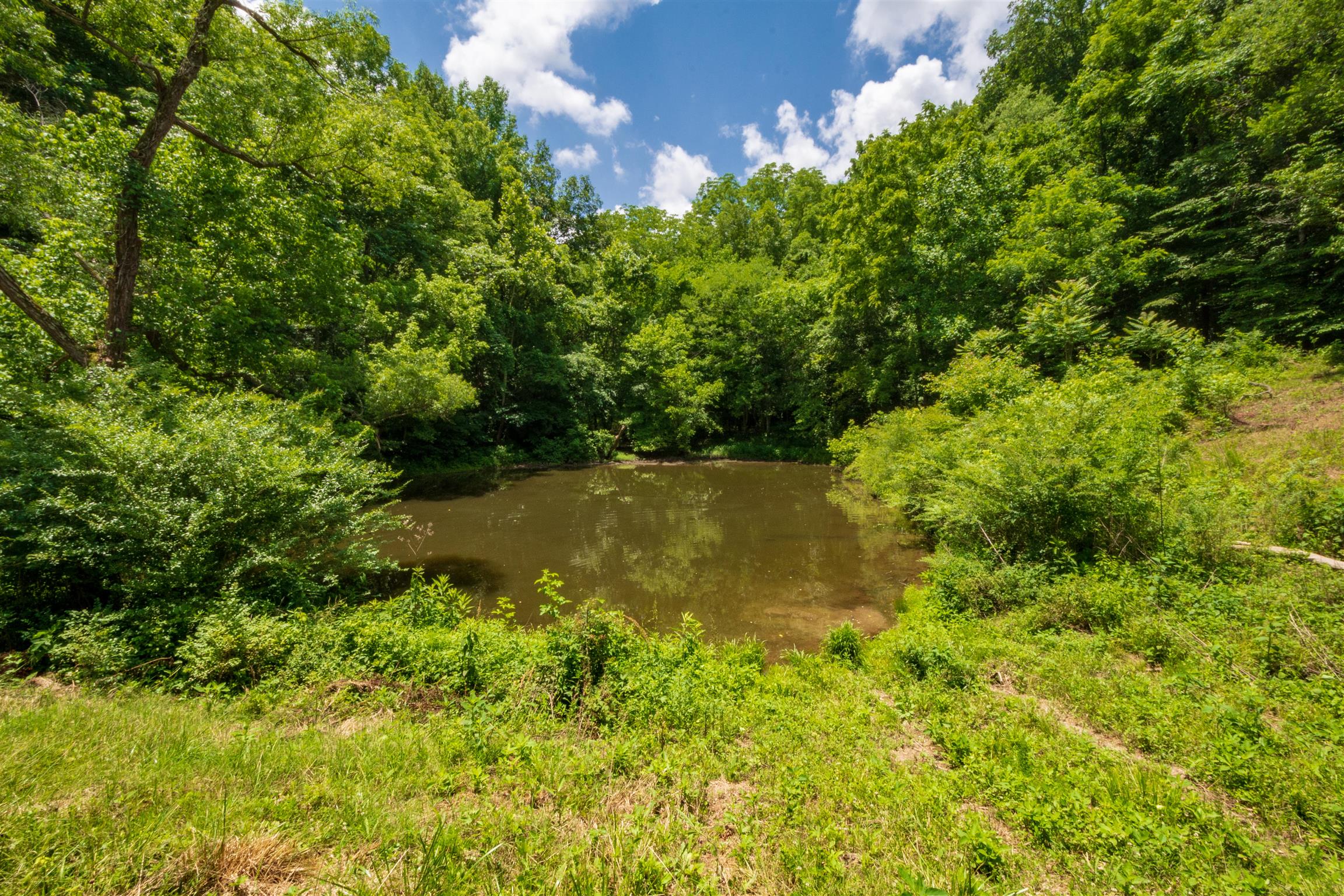 198 Ben Johnson Road Pulaski, TN 38478 - Photo 6 of 30 a view of lake with green space
