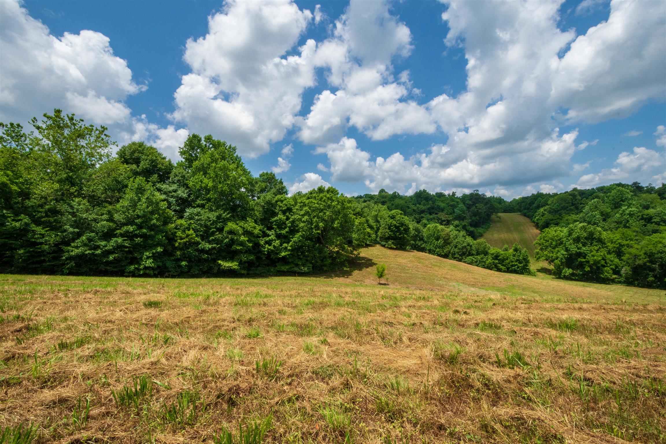 198 Ben Johnson Road Pulaski, TN 38478 - Photo 8 of 30 a view of a pathway with a garden