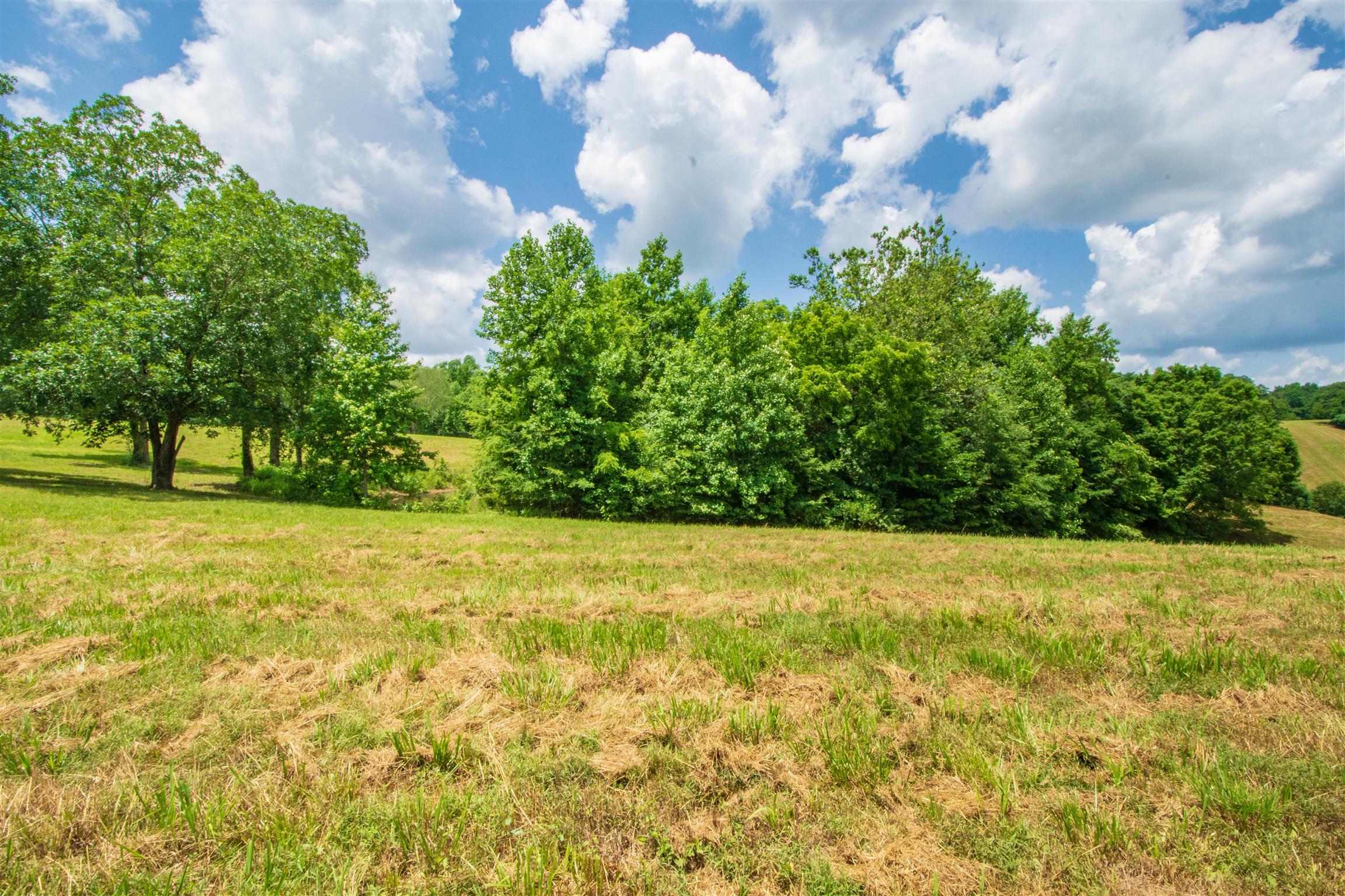 198 Ben Johnson Road Pulaski, TN 38478 - Photo 9 of 30 a view of yard with green space
