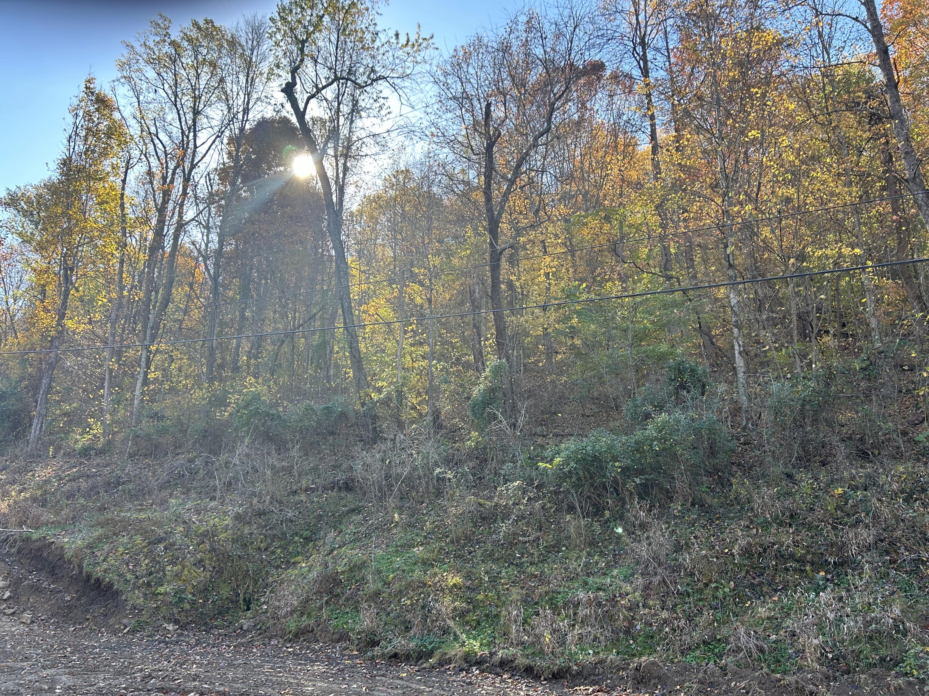 0 Gander Branch Road Vanceburg, KY 41179 - Photo 14 of 45 IMG_0163
