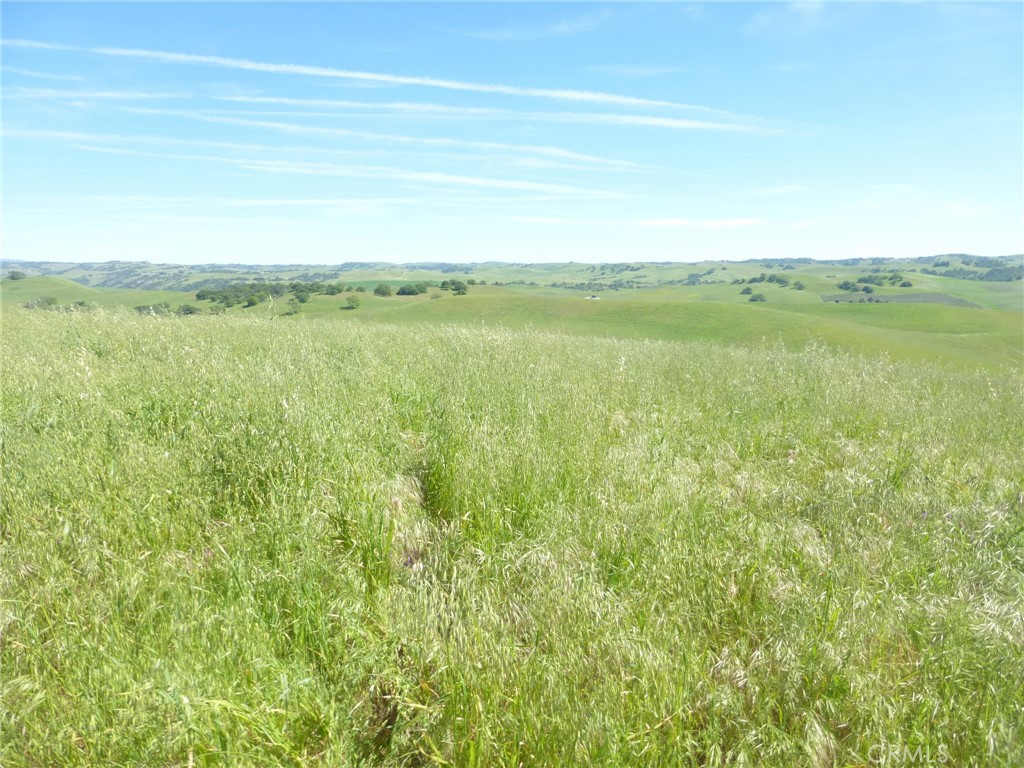 0 Douglas Road San Miguel, CA 93451 - Photo 21 of 44