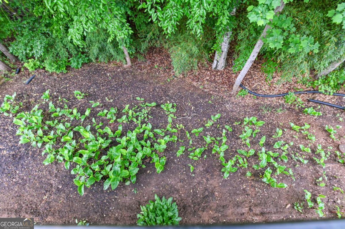 170 Meredith Ridge Road, Unit 8 Athens, GA 30605 - Photo 42 of 52 a backyard of a house with lots of green space