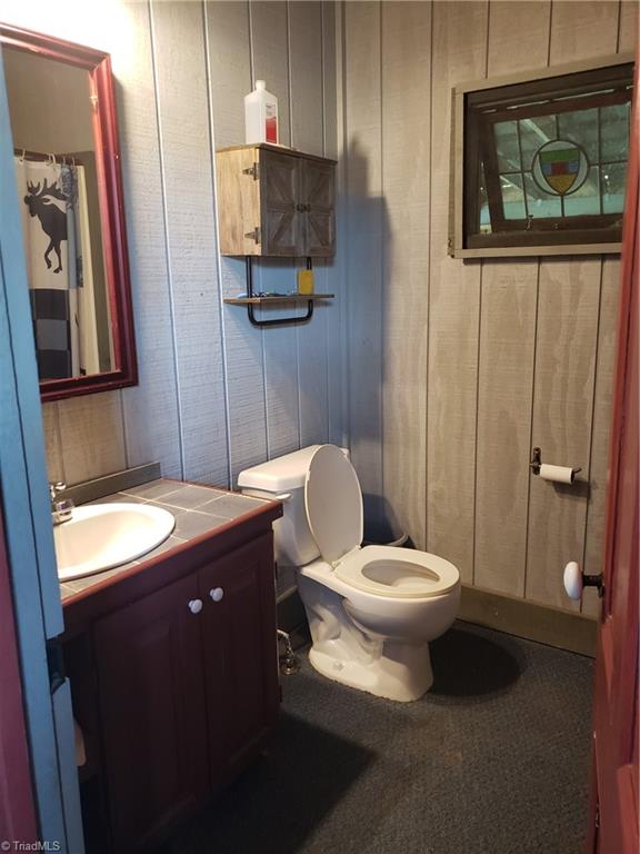 512 Vass Mill Road Laurel Fork, VA 24352 - Photo 48 of 49 Full bath with shower