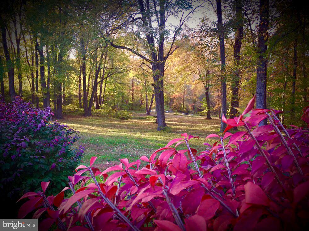 9100 Nana Russell Road Owings, MD 20736 - Photo 66 of 87 Gallery Image 66