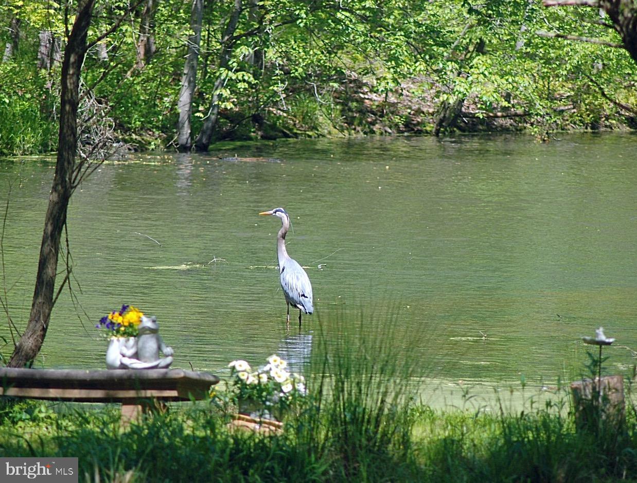 9100 Nana Russell Road Owings, MD 20736 - Photo 72 of 87 Gallery Image 72