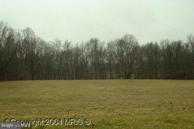 a view of a field with trees in background